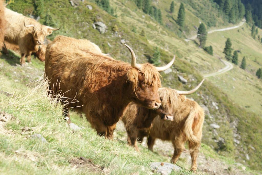 Kraftquelle Herrnmuhle Bramberg am Wildkogel Luaran gambar