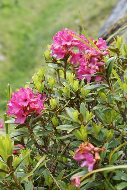 Kraftquelle Herrnmuhle Bramberg am Wildkogel Luaran gambar